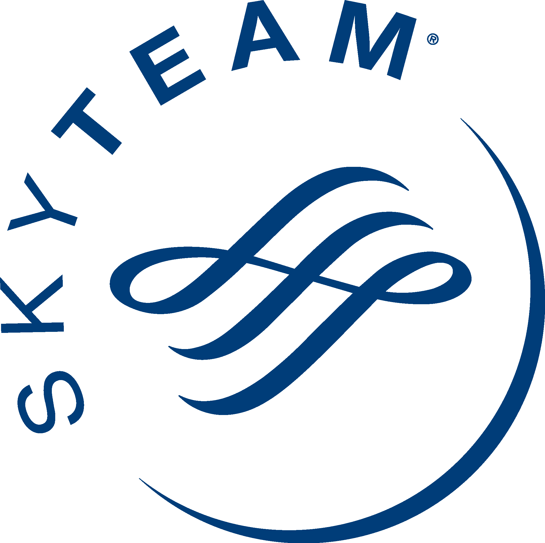 SkyTeam Logo